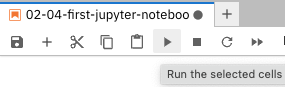 Jupyter Run