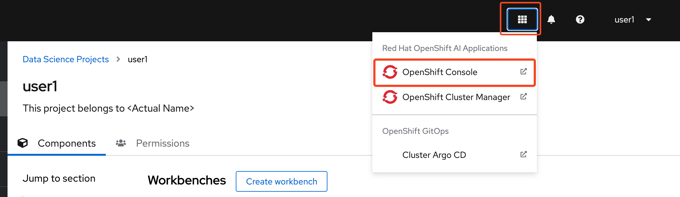 01 openshift console